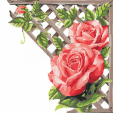 Ветвистая красная роза Нитекс 0248